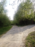 20190426_174210.jpg